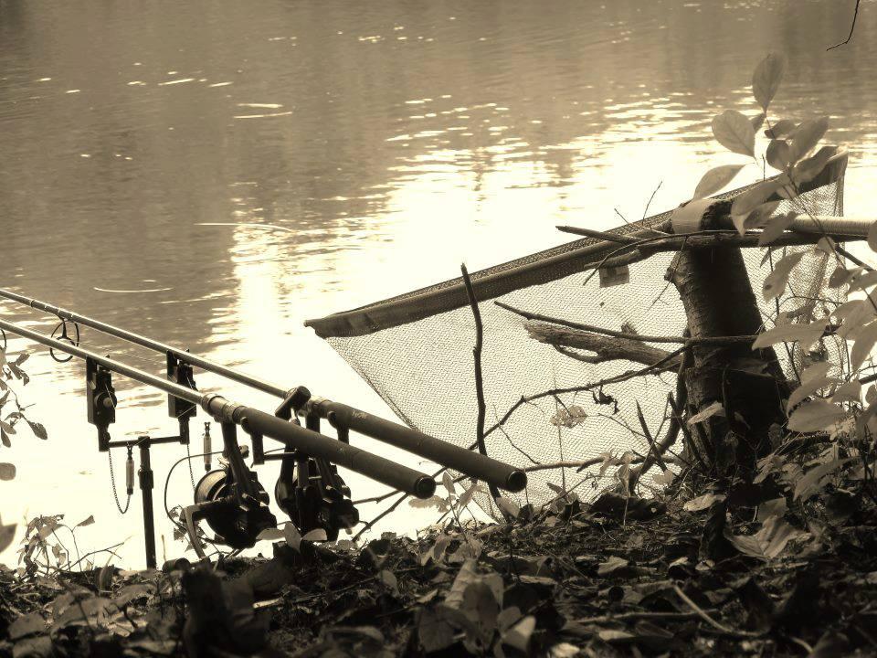 ::::::::LIKE:::::::: - 1000709545086265527146380854741n.jpg